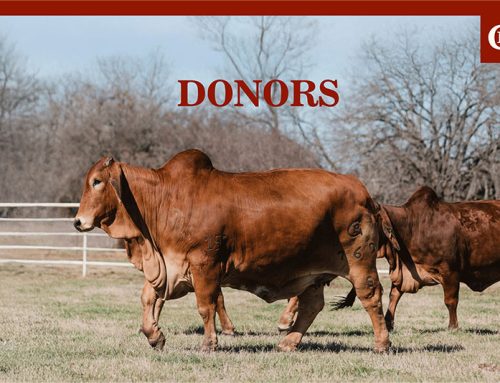 The Power behind our Herd